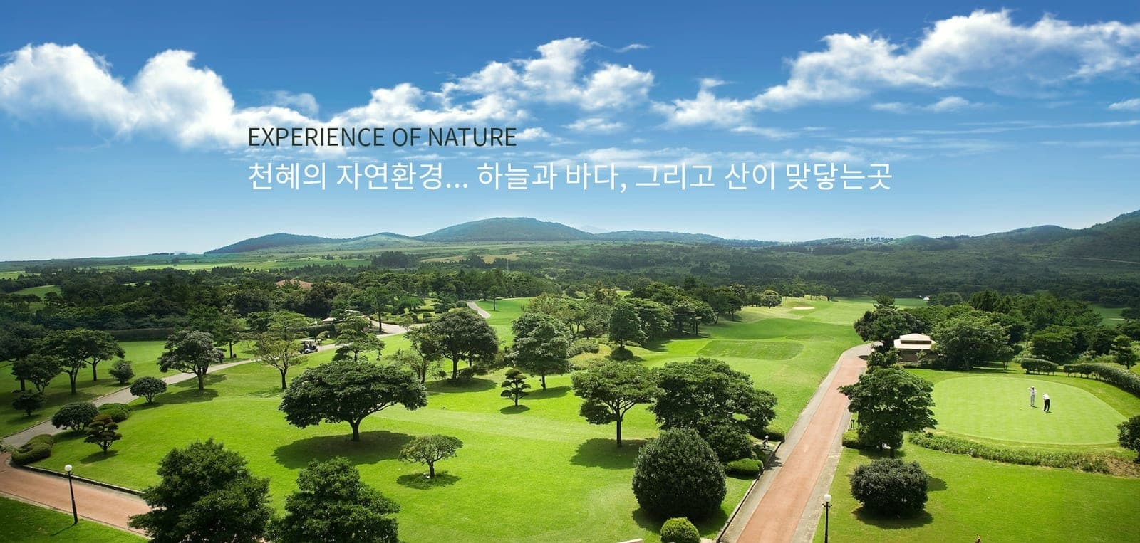 캐슬렉스제주GC 골프장