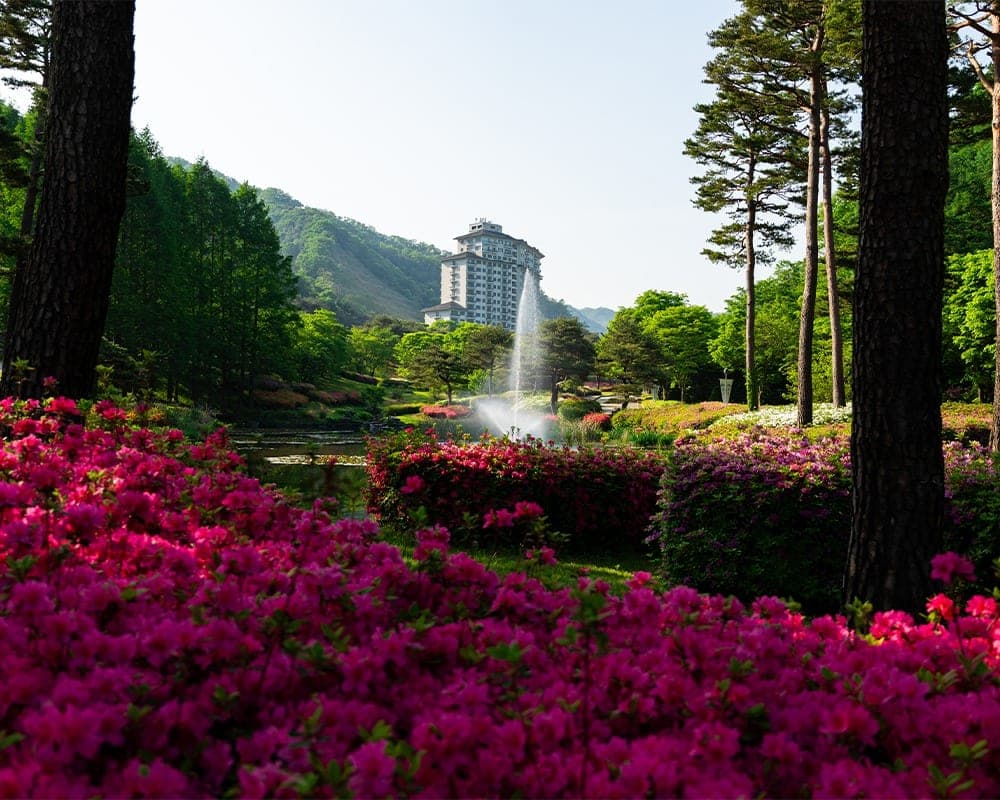 엘리시안강촌 골프장 코스 3