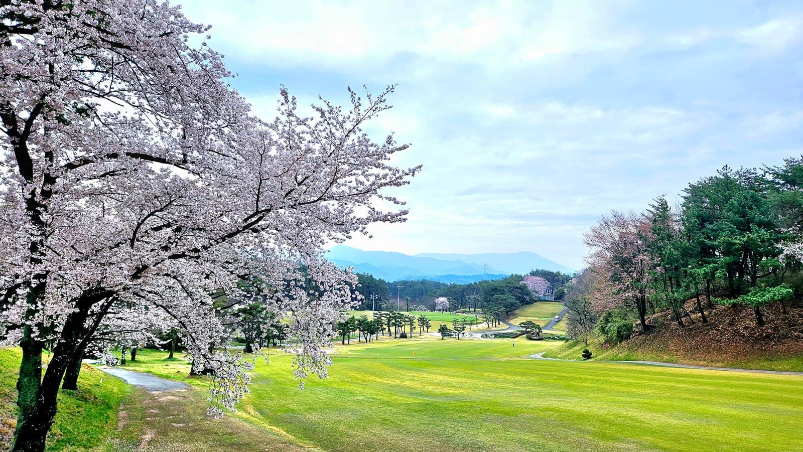 동부산 골프장 코스 3