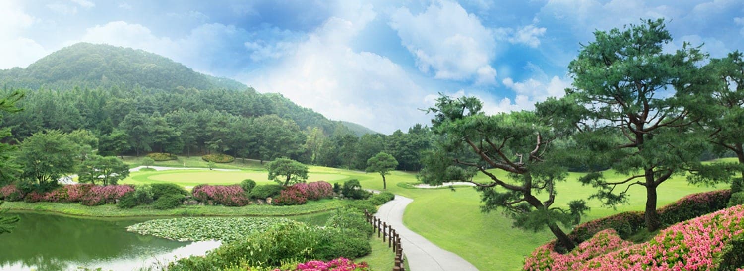 기흥 골프장 전경